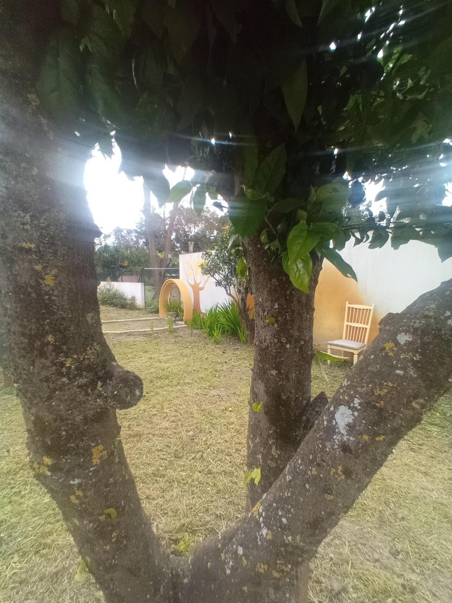 Villa O Mundo Da Lua Azeitão Exterior foto